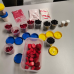 FRIETS newsletter 2023