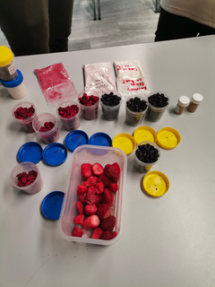 FRIETS newsletter 2023
