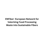 ENFiber project logo
